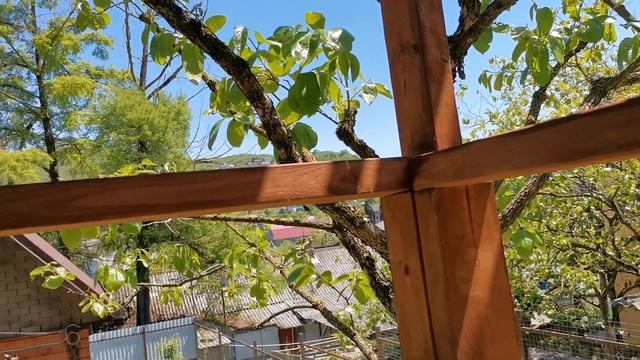 Сочи. Горное Лоо. +25°C. 18.05.2023г.© смотреть онлайн