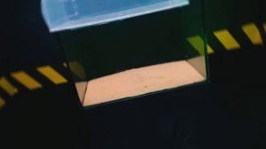 КОРДИЦЕПС: МЫ НАШЛИ ГРИБ ИЗ The Last Of Us! И ЗАРАЗИЛИ ИМ НАСЕКОМЫХ!  Часть 1