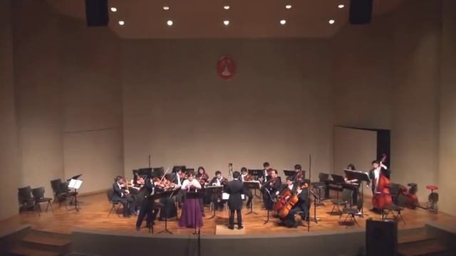 Bach - Concerto for Violin and Oboe in C minor, BWV 1060 смотреть онлайн
