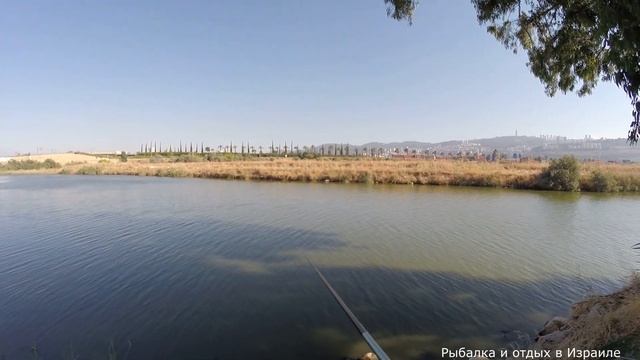 Одна удочка один попловок. Рыбалка на реке в 5 минутах от дома. 26.6.20. рыбалка в Израиле