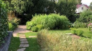 Всё о злаках в моём саду