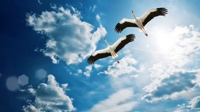 Журавли. Стихотворение.