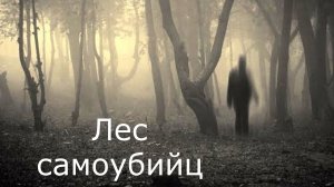 «Аокигахара». Мистическая история.