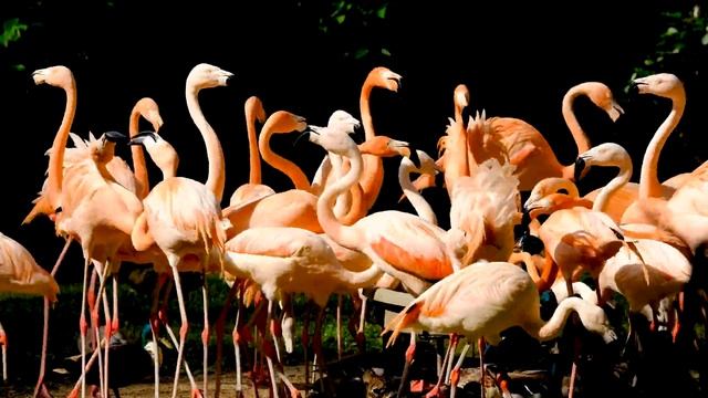 Подборка электронный музыки для души | Music meditation| Electronic music смотреть онлайн