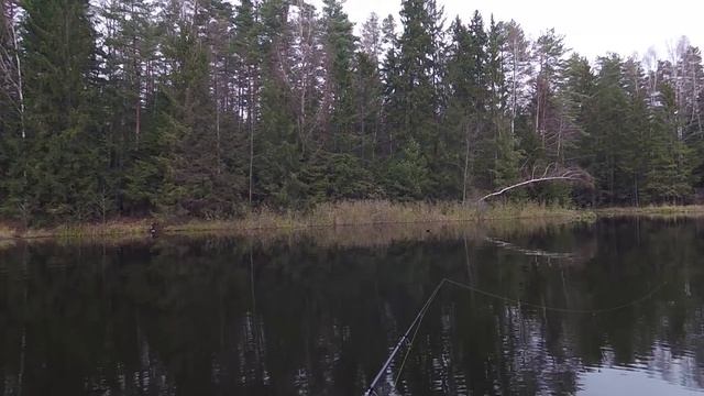 Ловля судака осенью. ЧАСТЬ 1 смотреть онлайн