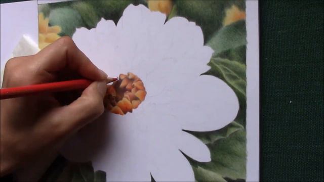 drawing a yellow dahlia blossom with colored pencils смотреть онлайн
