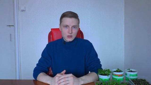 Замачивание и проращивание СЕМЯН перца и томатов с ТРИХОДЕРМОЙ перед посевом (посадкой) на рассаду смотреть онлайн