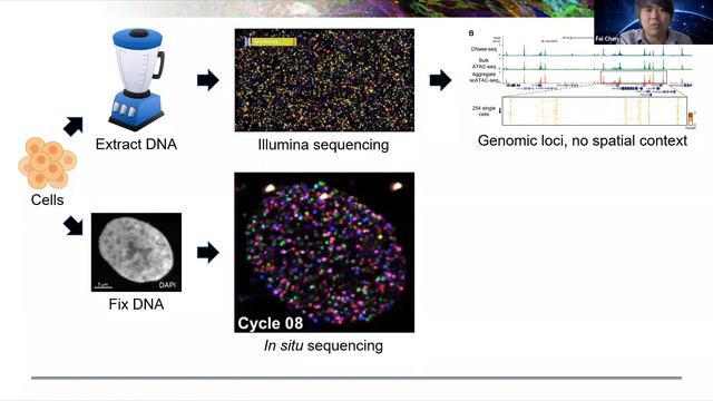 Next generation tools for spatial and temporal genomics (Speaker: Fei Chen, Broad Institute) смотреть онлайн