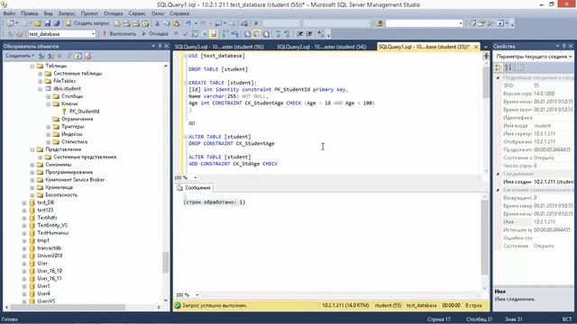 Работа через SQL Server Managment Studio, Обращение к б/д в C# смотреть онлайн