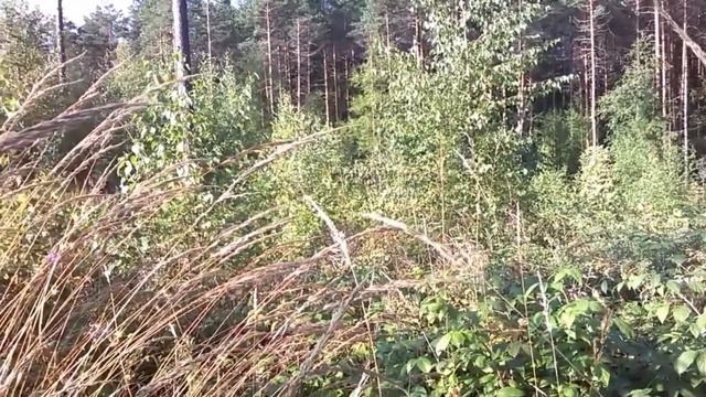 Карина Михайлова пугало огородное смотреть онлайн