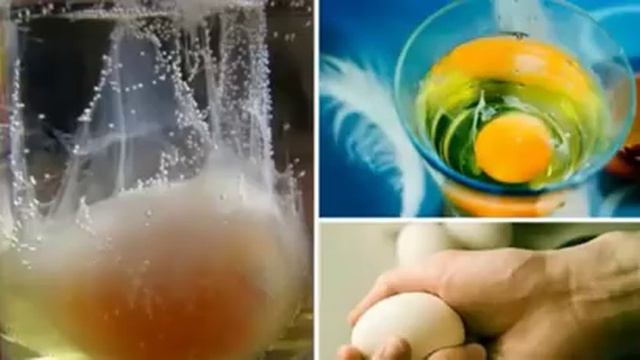 Очень Редкий Заговор на Куриное Яйцо для Денег и Счастья! смотреть онлайн