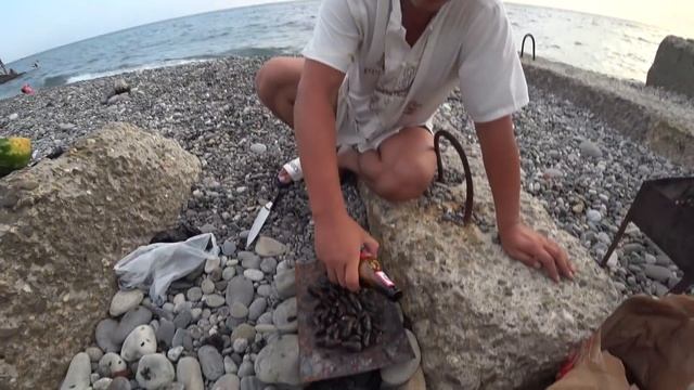 Как бесплатно поесть на пляже в Сочи, Мидии смотреть онлайн