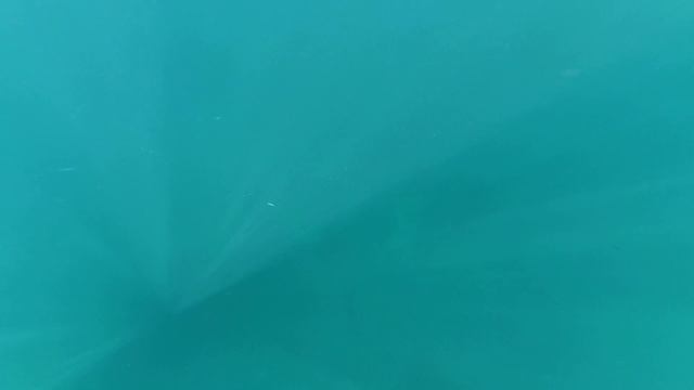 Атаки Черноморского Саргана на metaljig смотреть онлайн