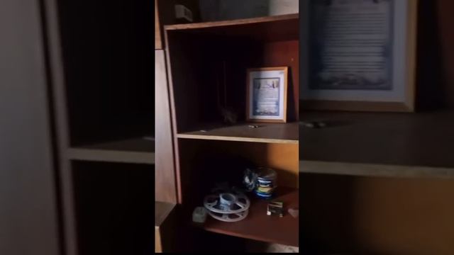 КТО СПРАШИВАЛ ГДЕ ЖИВЕТ МОНГОЛ? ОБЗОР ЖИЛИЩА, ДАЖЕ СВЕТ ЕСТЬ! смотреть онлайн