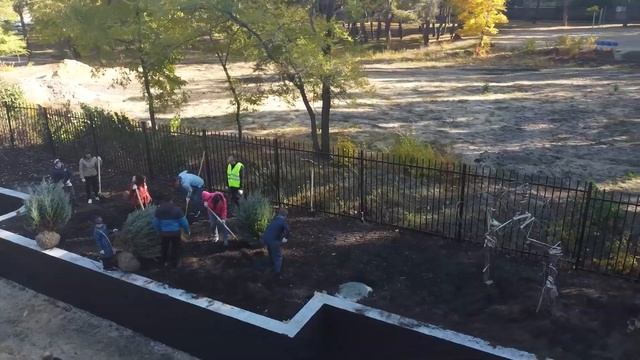 высадка деревьев в парке "Дельфин" 9.10.2021 смотреть онлайн