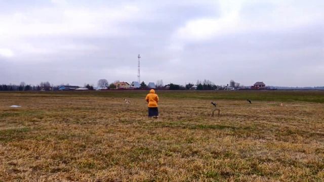 Акулята 1-й забег смотреть онлайн