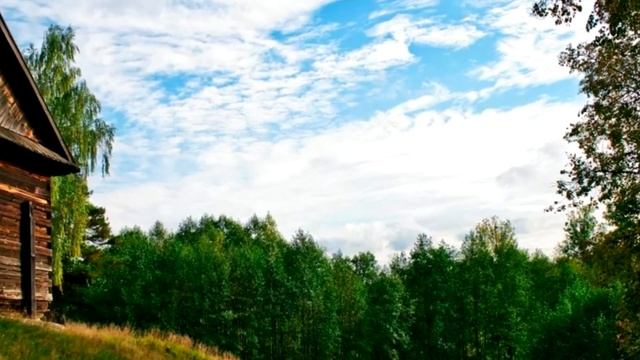 Никто не смог разлучить ДЕВОЧКУ И ВОЛКА, нельзя предавать зверей. смотреть онлайн
