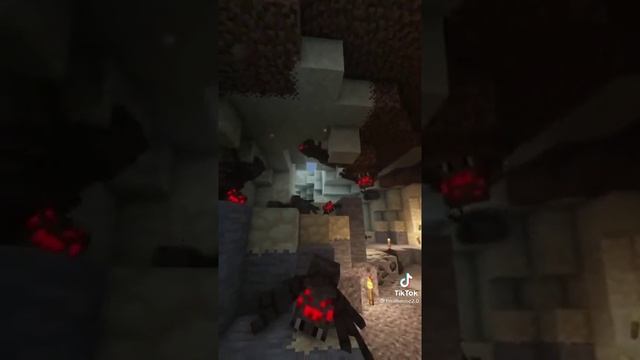 Spiders 2.0 | #Shorts #Minecraft #TikTok смотреть онлайн
