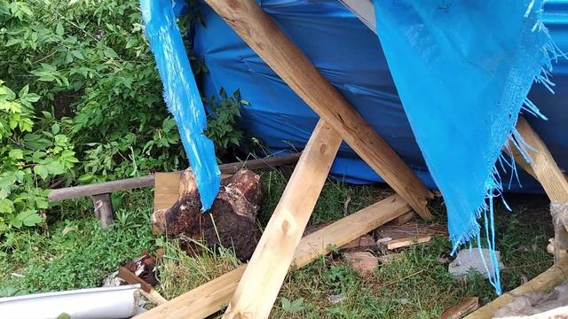 Утро после Урагана в Муроме.15.07.2020 смотреть онлайн