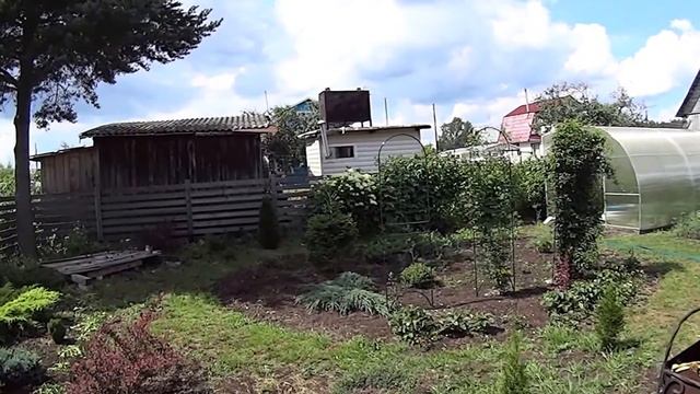 Тенистое утро, "каменная роза", фонтан, клематисы,... смотреть онлайн