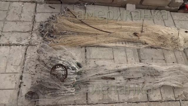 Сеть кастинговая тест 8 испанка и американка. Сбор мусора. смотреть онлайн