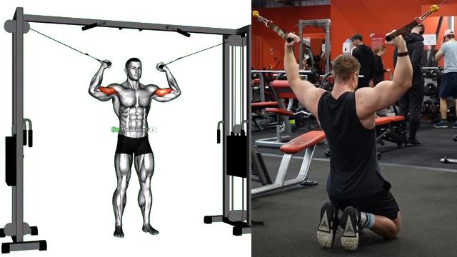 Last Your Biceps Into Shape: The Top Exercises For Strong And Sculpted Arms