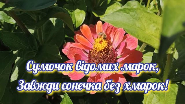 Привітання зі святом 8 Березня 🌷 Музична листівка смотреть онлайн