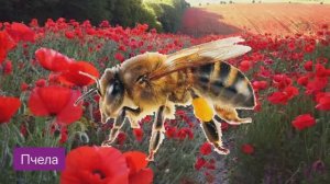 Мультики для детей и малышей, учим название насикомых, звуки насикомых. Развивающие мультики.