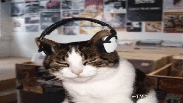 The_Beatles_-_Hop_hej_hop - видеомонтаж videostudio ~TATYANA~ 2017г смотреть онлайн