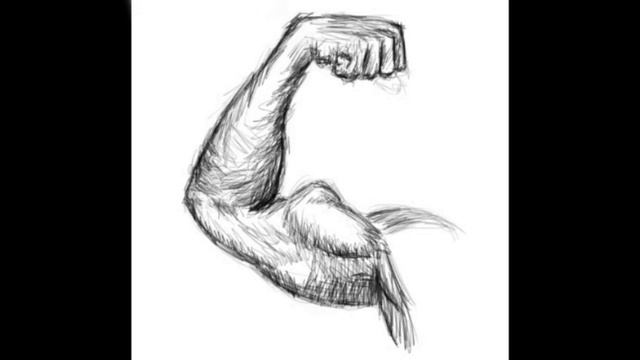 Anatomy sketch, arm смотреть онлайн