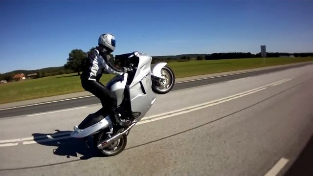 Honda blackbird wheelie 1 смотреть онлайн