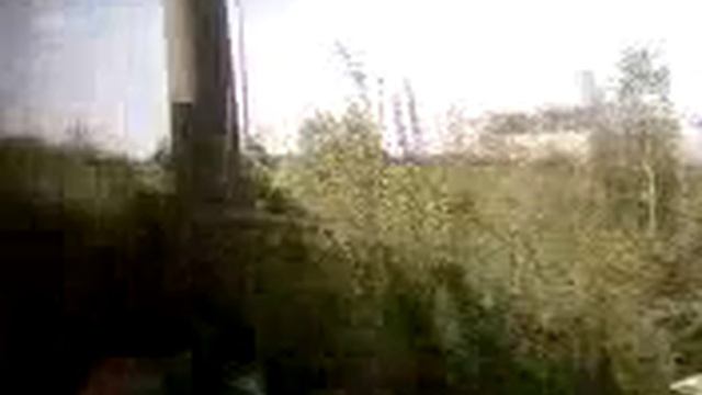 платформа 36 километр, перегон Павловск - Новолисино смотреть онлайн