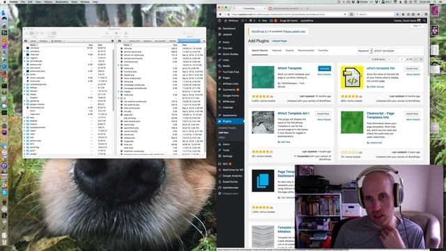 How To Tell Which Theme File WordPress Uses to Show a Page смотреть онлайн