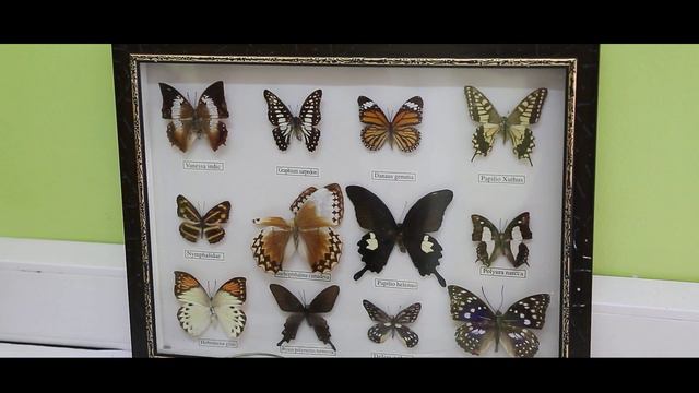 Сельско-хозяйственный факультет ТувГУ смотреть онлайн