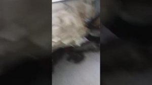 Лада приора, как снять шкив легко и просто