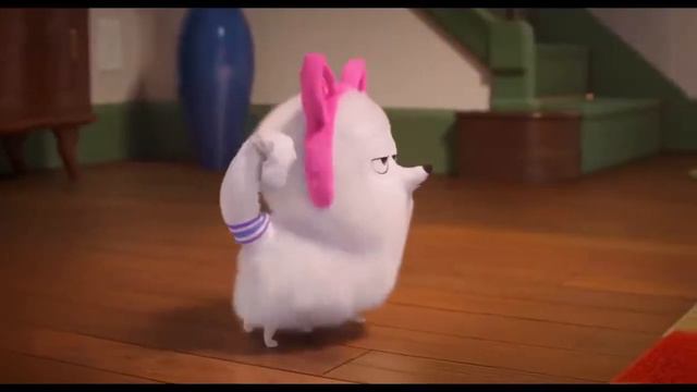 ККЗ Панорама раскроет секреты домашних животных смотреть онлайн