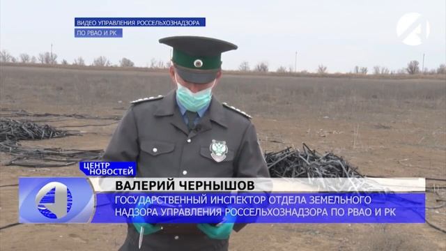 Участок зарос сорняком.mp4 смотреть онлайн