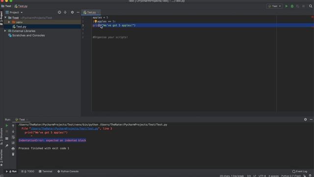 Python "IndentationError: expected an indented block" (100% SOLUTION!) смотреть онлайн
