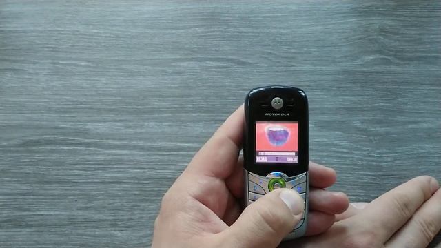 Motrola C650 - старший брат C350