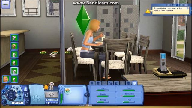 GOLDEN DALMATIANS?!~Create A Breed Pet Legacy~Golden Dalmatian