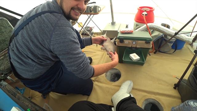 Зачетный лещ! 50$ тому кто угадает вес. Вячаславское водохранилище, рыбалка на леща. смотреть онлайн