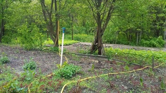 Смотрите, какая система полива огорода!