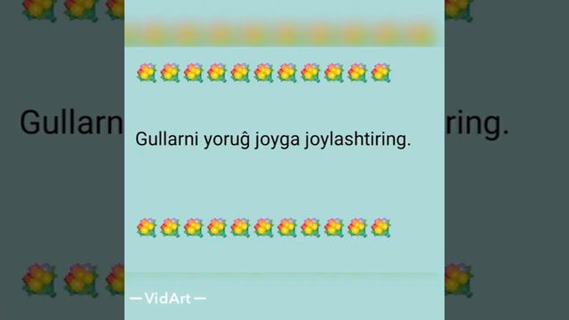 XONAKI GULLARNI PARVARISHLASH QOIDALARI. смотреть онлайн