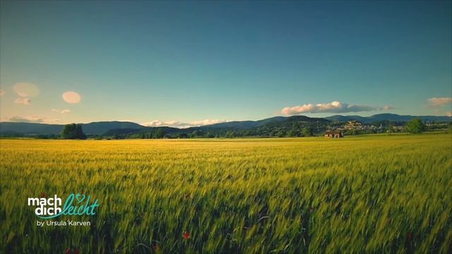 Meditation in voller Länge смотреть онлайн