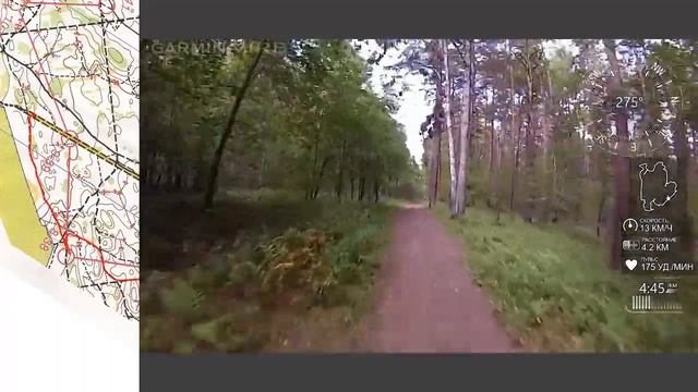 Спортивное ориентирование (headcam orienteering) вело, Ориент-слет, Новосибирск, AB, Ж21, 02.09.23 смотреть онлайн