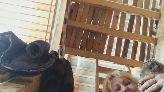 Венгерская овчарка смотреть онлайн