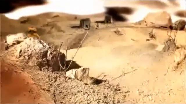 TOOL - 46&2 & Plato's Allegory of the Cave смотреть онлайн