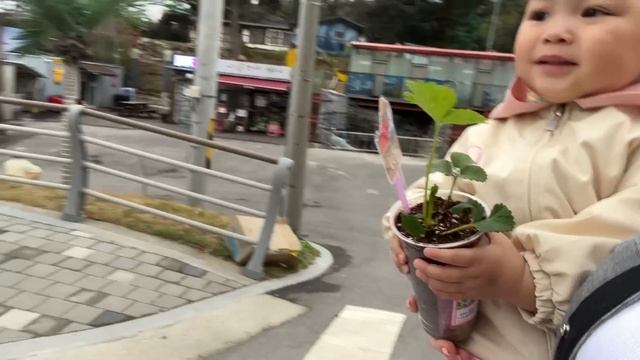 Корейский язык бесплатно / жизнь в морской корейской деревне/ Корея влог