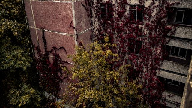 Robert Rich Somnium Part 2