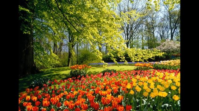 Не заставляйте женщин плакать смотреть онлайн